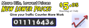 Website submission Services, and Website promotion Services